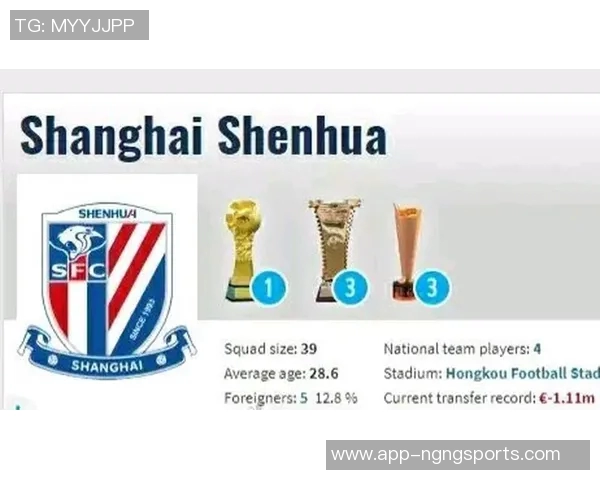 中超球队身价排行榜揭晓海港领衔申花国安泰山紧随其后